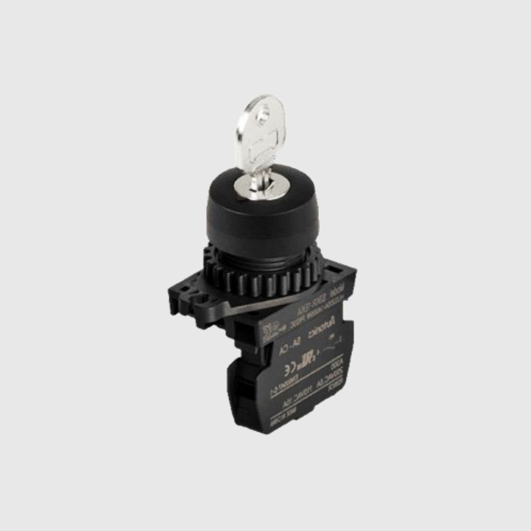 SELECTOR MULETILLA PLASTICO 2 POSICIONES CON LLAVE 22mm AUTONICS
